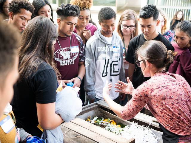 Interactive activity